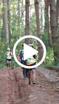 BIB:  <button type="button" onclick="openModal(26569898)" class="btn btn-primary btn-sm float-right" data-toggle="modal" data-target=".modal-high-quality">
                <i class="fa fa-download"></i> Download
                </button>